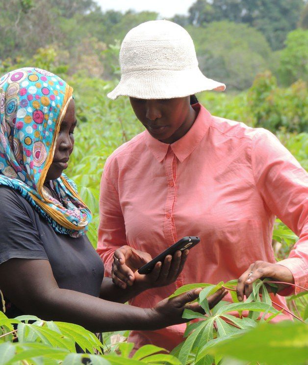 cropped-Tanzanian-cassava-farmer.jpg